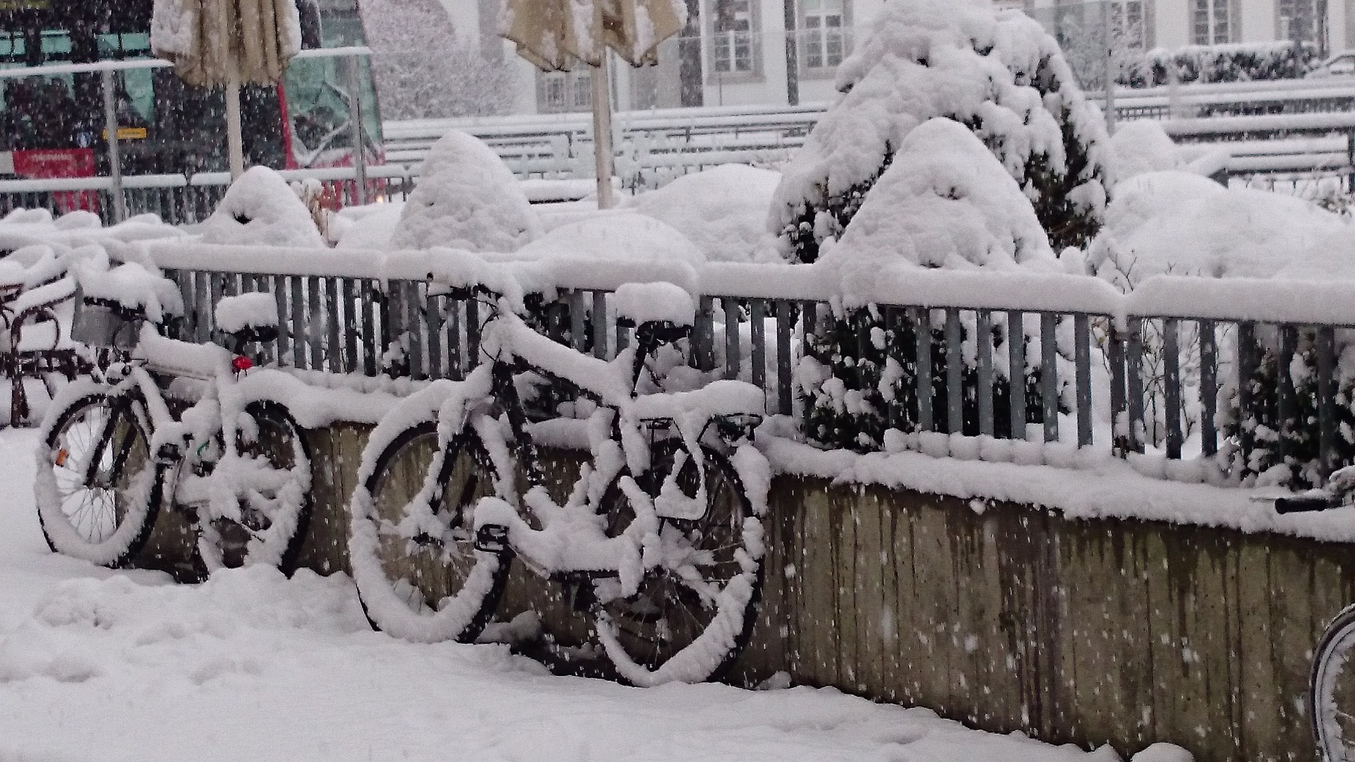 Winter bike