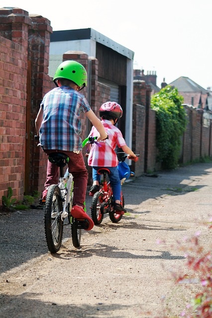 kids on bikes photo