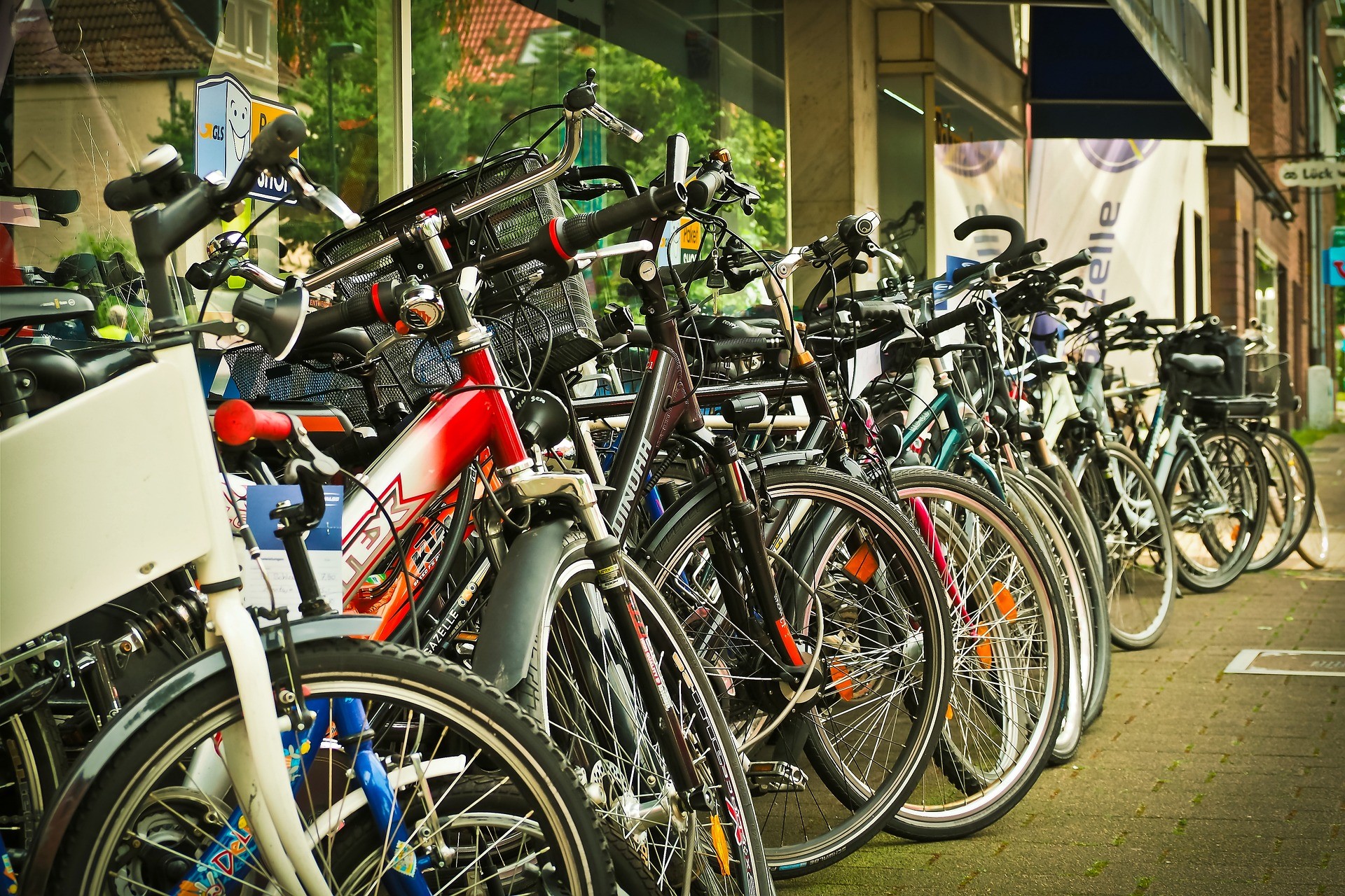 Row of Bikes